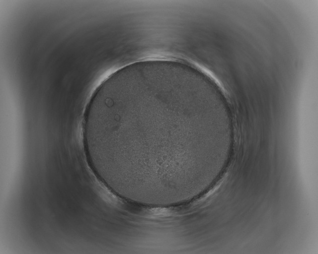 X0000108481463200904031420