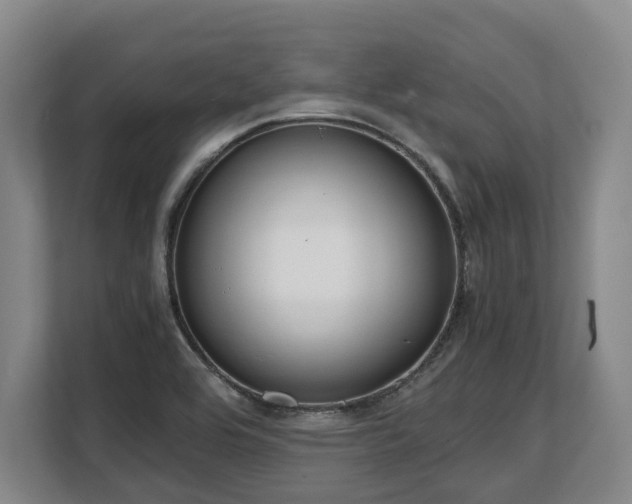 X0000108481464200904031420
