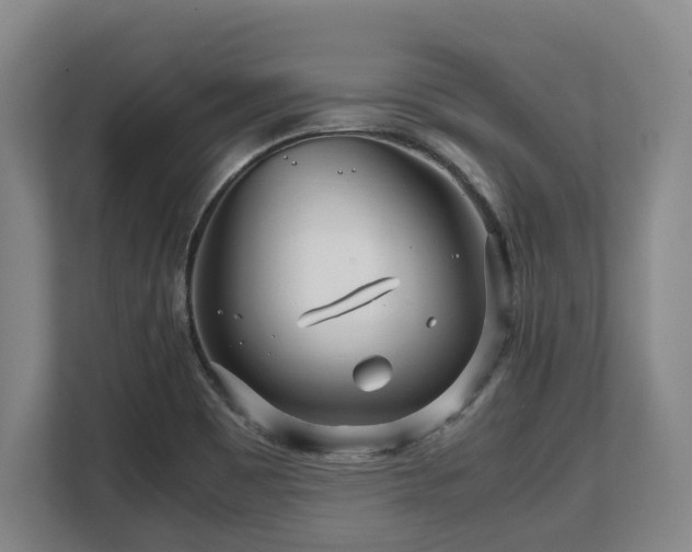 X0000108481465200904031420