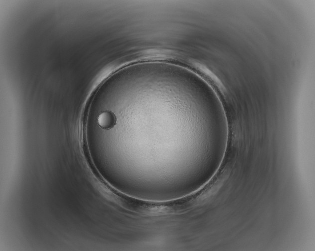 X0000108481467200904031420