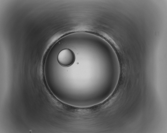 X0000108481469200904031420