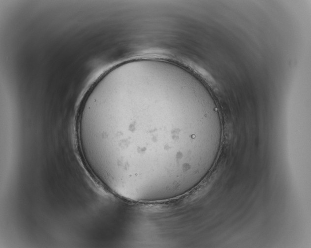 X0000108481470200904031420