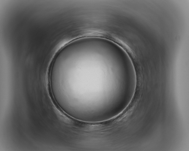 X0000108481471200904031420