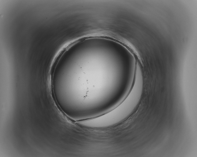 X0000108481472200904031420
