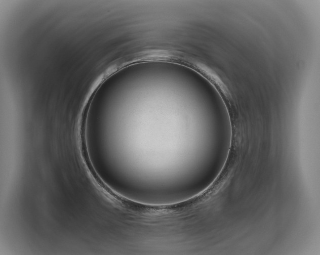 X0000108481475200904031419
