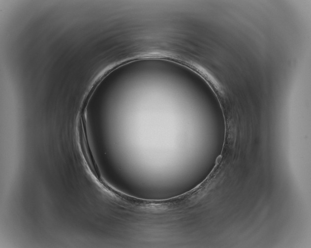 X0000108481476200904031419