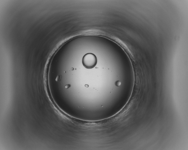 X0000108481478200904031419