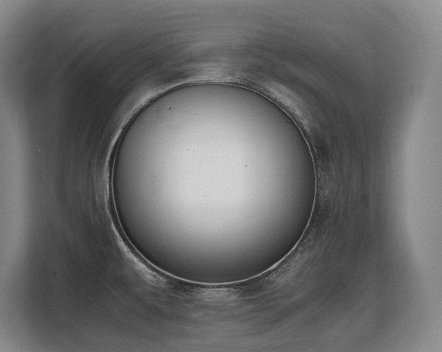 X0000108481479200904031419