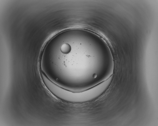 X0000108481480200904031419