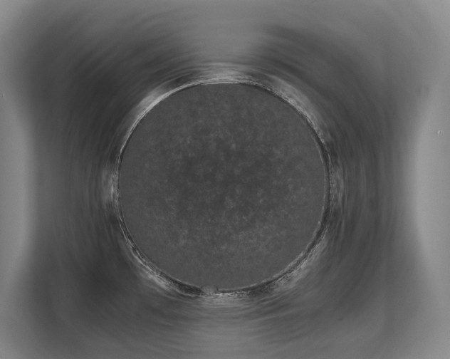 X0000108481481200904031419