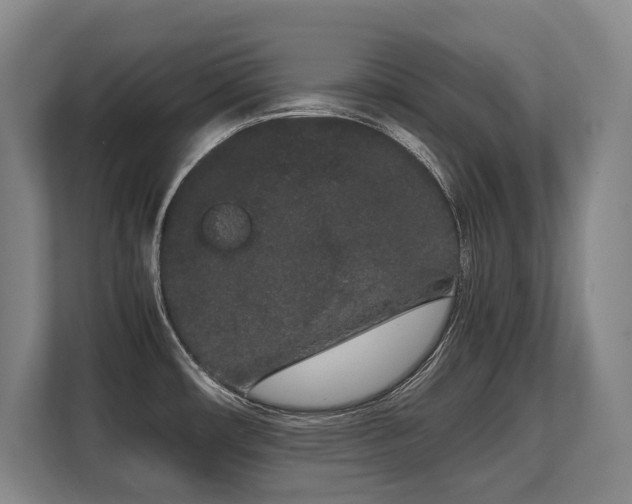 X0000108481482200904031419