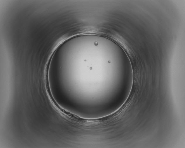 X0000108481483200904031419