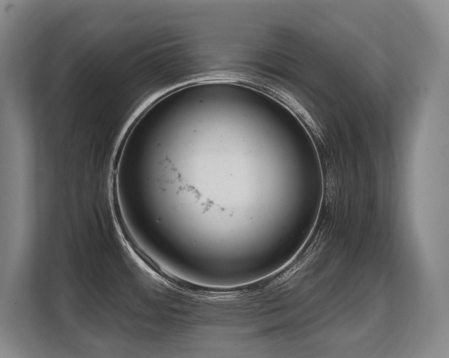 X0000108481484200904031419