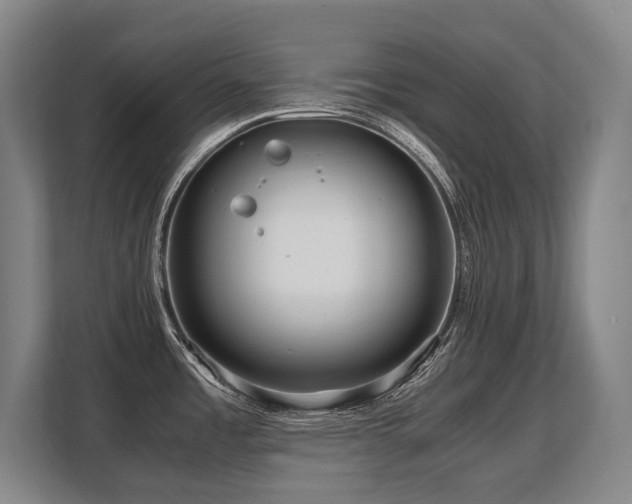 X0000108481485200904031419
