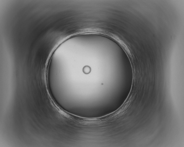 X0000108481486200904031419