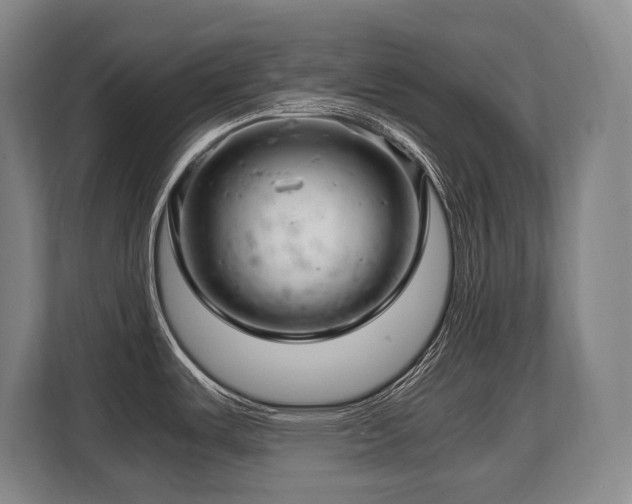 X0000108481487200904031419