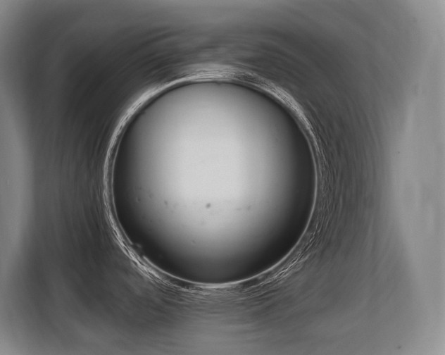 X0000108481488200904031419