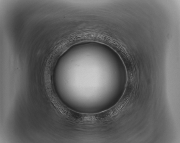 X0000108481489200904031419