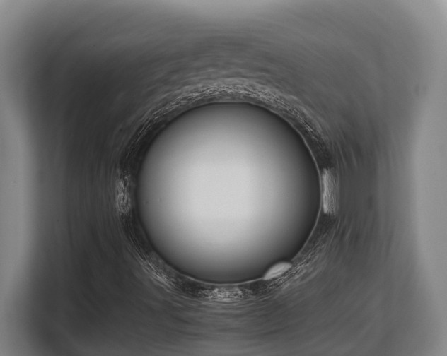 X0000108481491200904031419