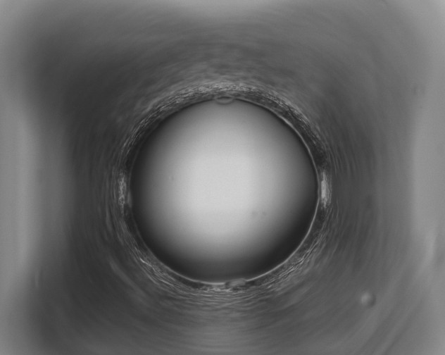 X0000108481492200904031419