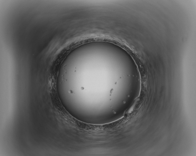 X0000108481495200904031419