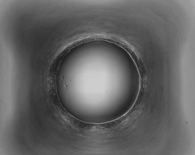 X0000108481496200904031419