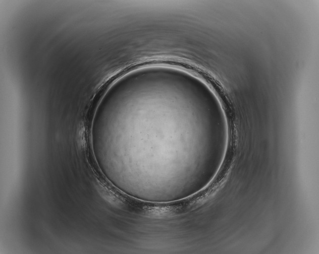 X0000108481497200904031419