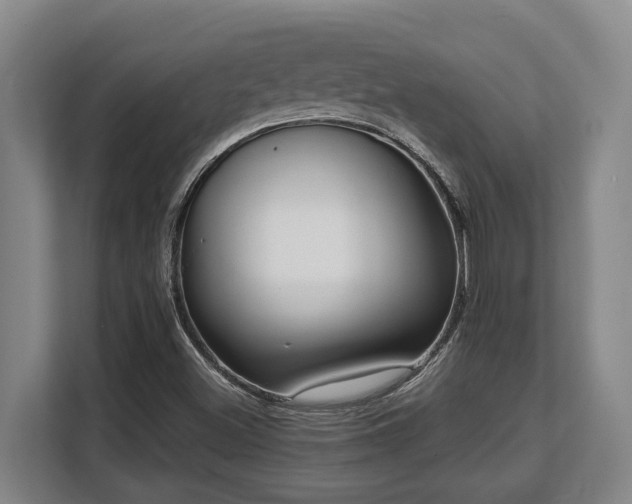 X0000108481500200904031419