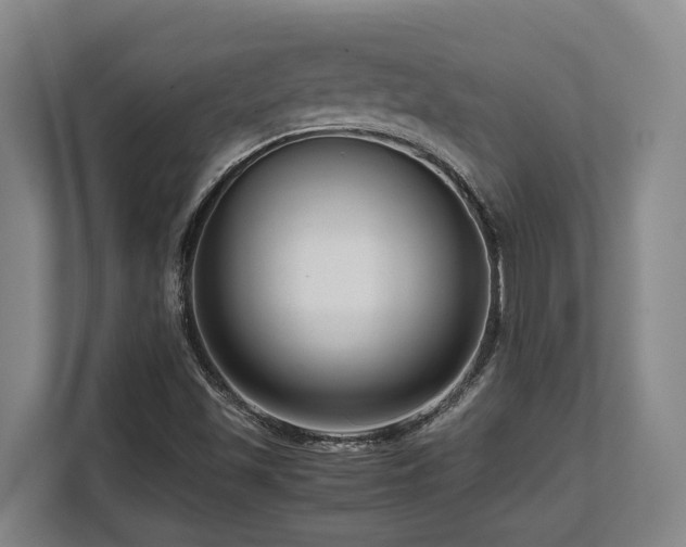 X0000108481501200904031419