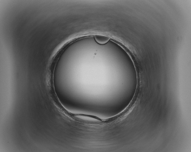 X0000108481502200904031419