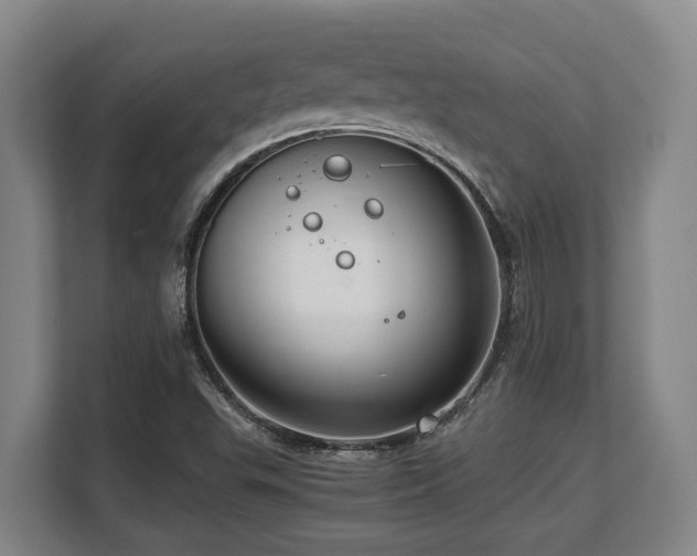 X0000108481503200904031419