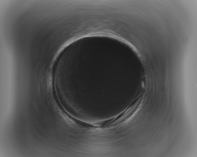 X0000108481506200904031419