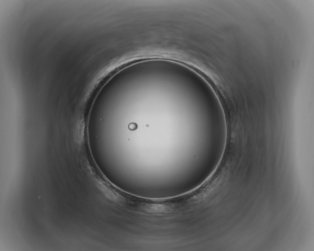 X0000108481507200904031419