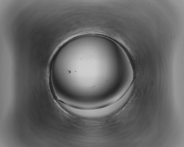 X0000108481508200904031419