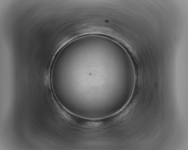 X0000108481513200904031419