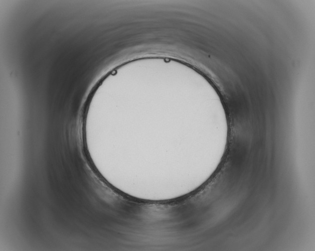 X0000108481514200904031419