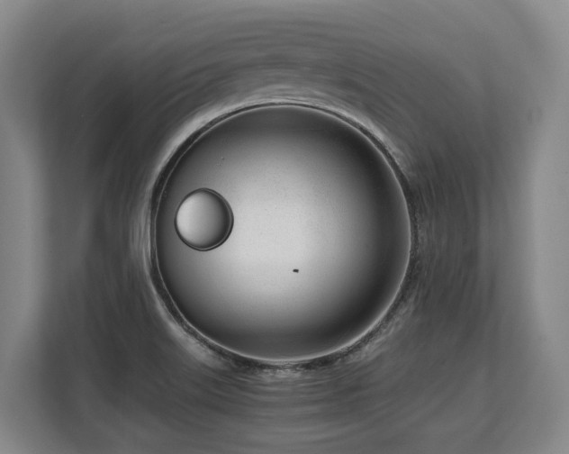 X0000108481515200904031419