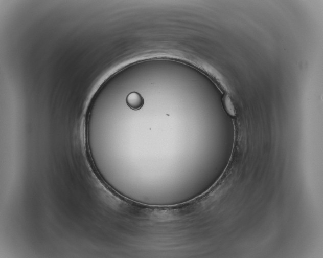 X0000108481516200904031419