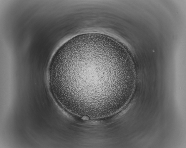 X0000108481517200904031419
