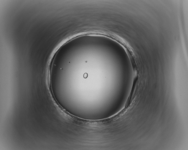 X0000108481520200904031419
