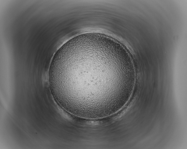 X0000108481521200904031419