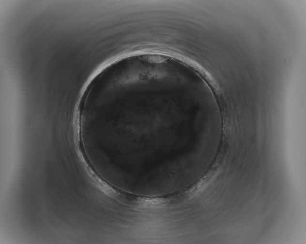 X0000108481522200904031419