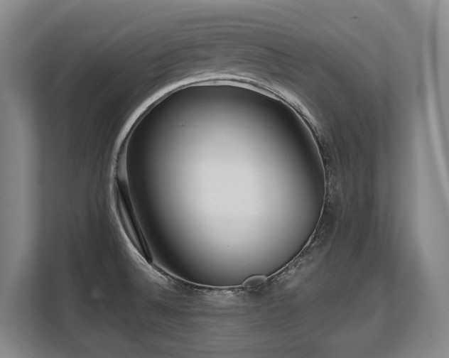 X0000108481524200904031419