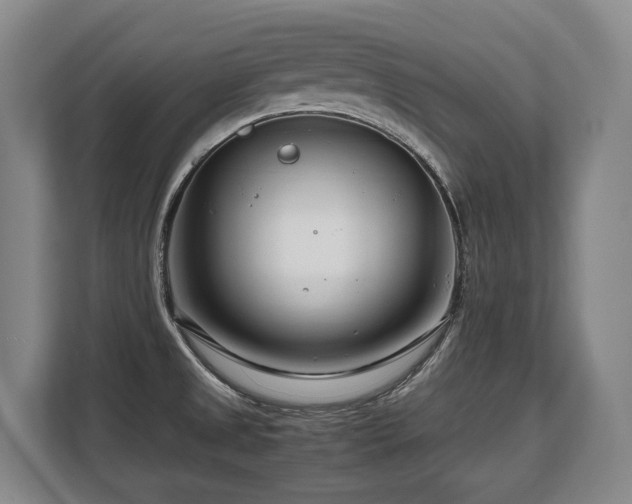 X0000108481525200904031419