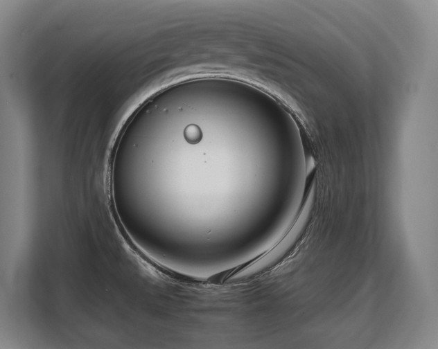 X0000108481527200904031419