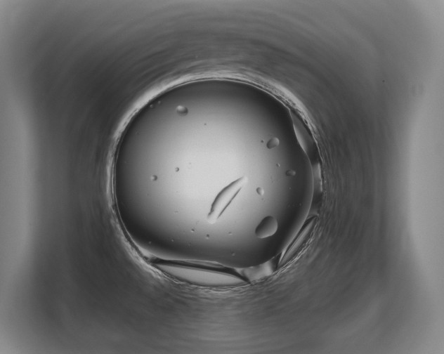 X0000108481528200904031419