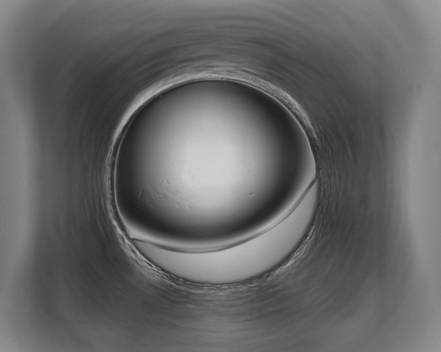 X0000108481530200904031419