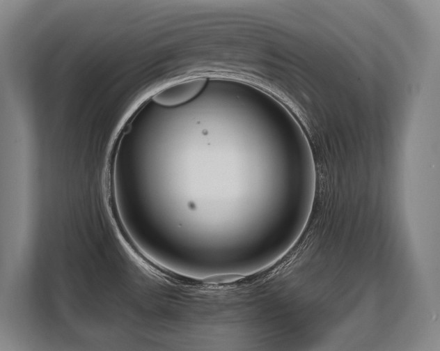 X0000108481531200904031419