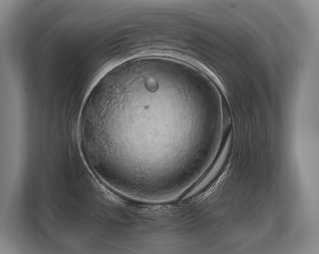 X0000108481533200904031419