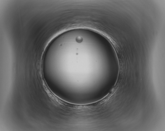 X0000108481534200904031419